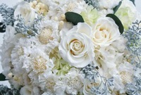 �u���C�_���G�X�e�̗\�Z�Ɖ񐔂ɂ���