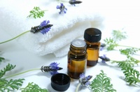 �̌��G�X�e�����đ��������ɑ��̃T�������K���Ƃ���