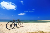 �̌��G�X�e�̗\����@�ɒ��ڂ��܂����I