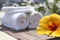 �G�X�e�̌��̗\��ɂ��Ē��ӓ_�̂܂Ƃ߁I