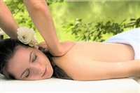 �ю����̑��g�G�X�e��r