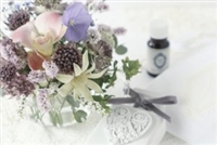 �k��Z�̑��g�G�X�e��r